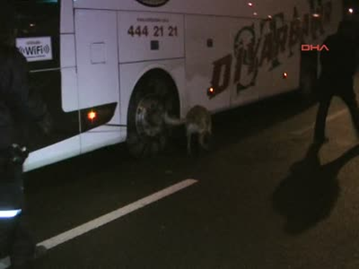 Narkotik Köpeği Teko Kaçak Sigara Avında