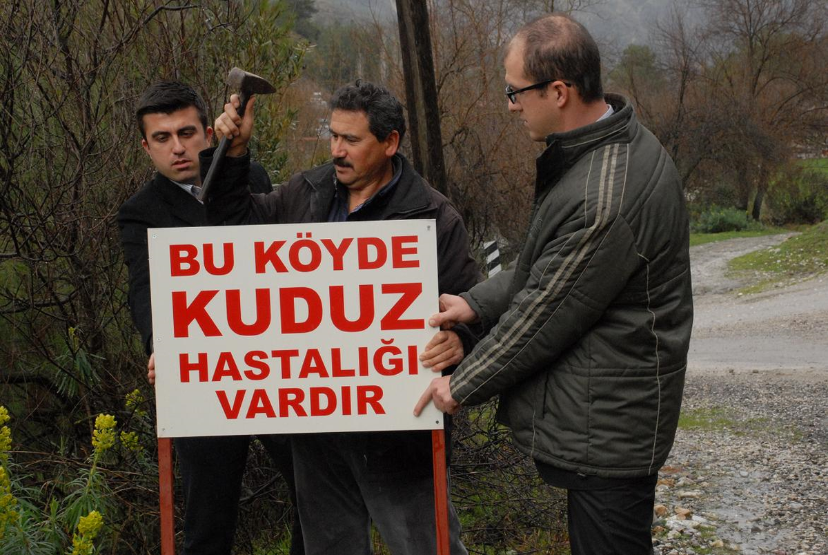 Fethiye\'de Kuduz Karantinası