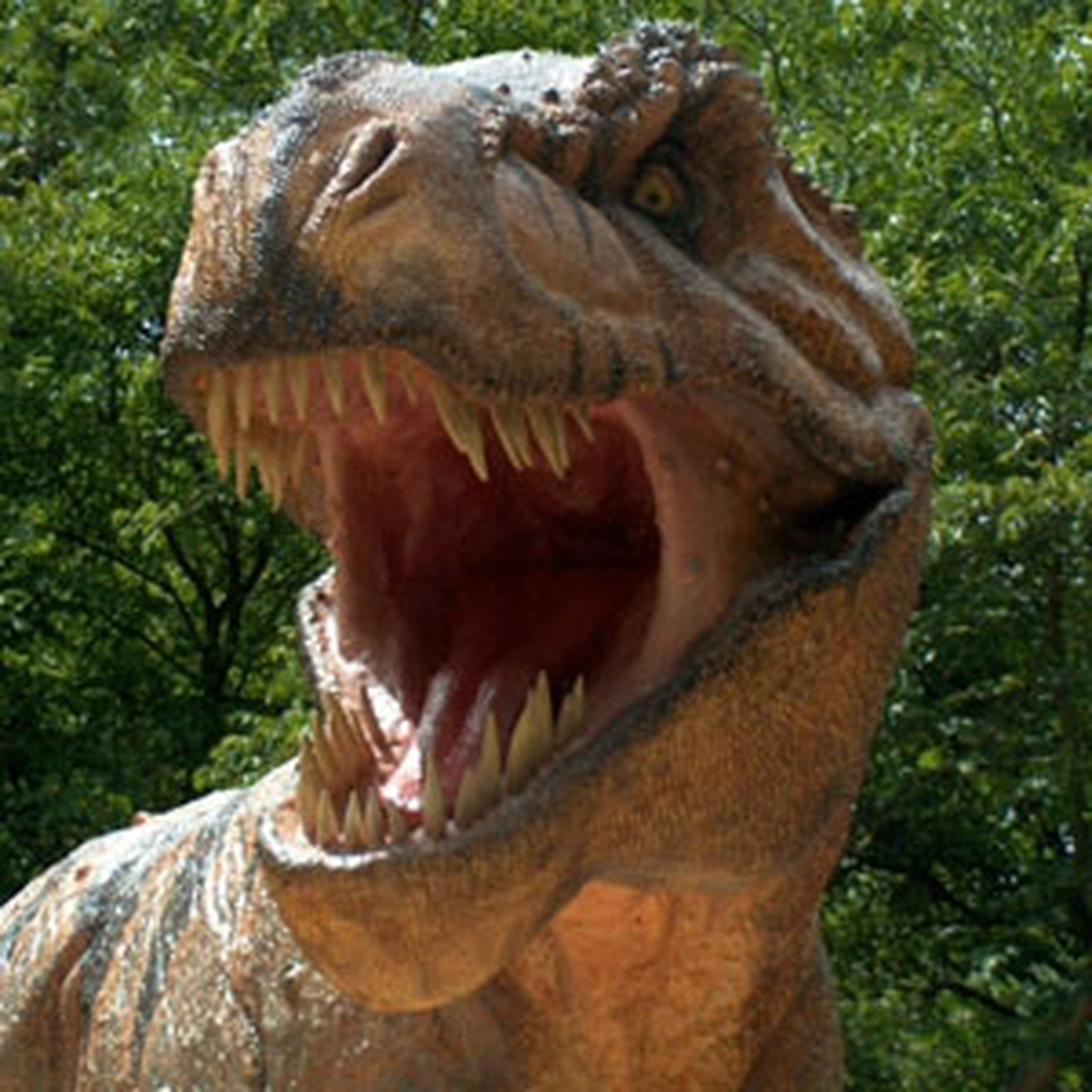 "Gelmiş Geçmiş En Güçlü Çene" T-Rex\'in