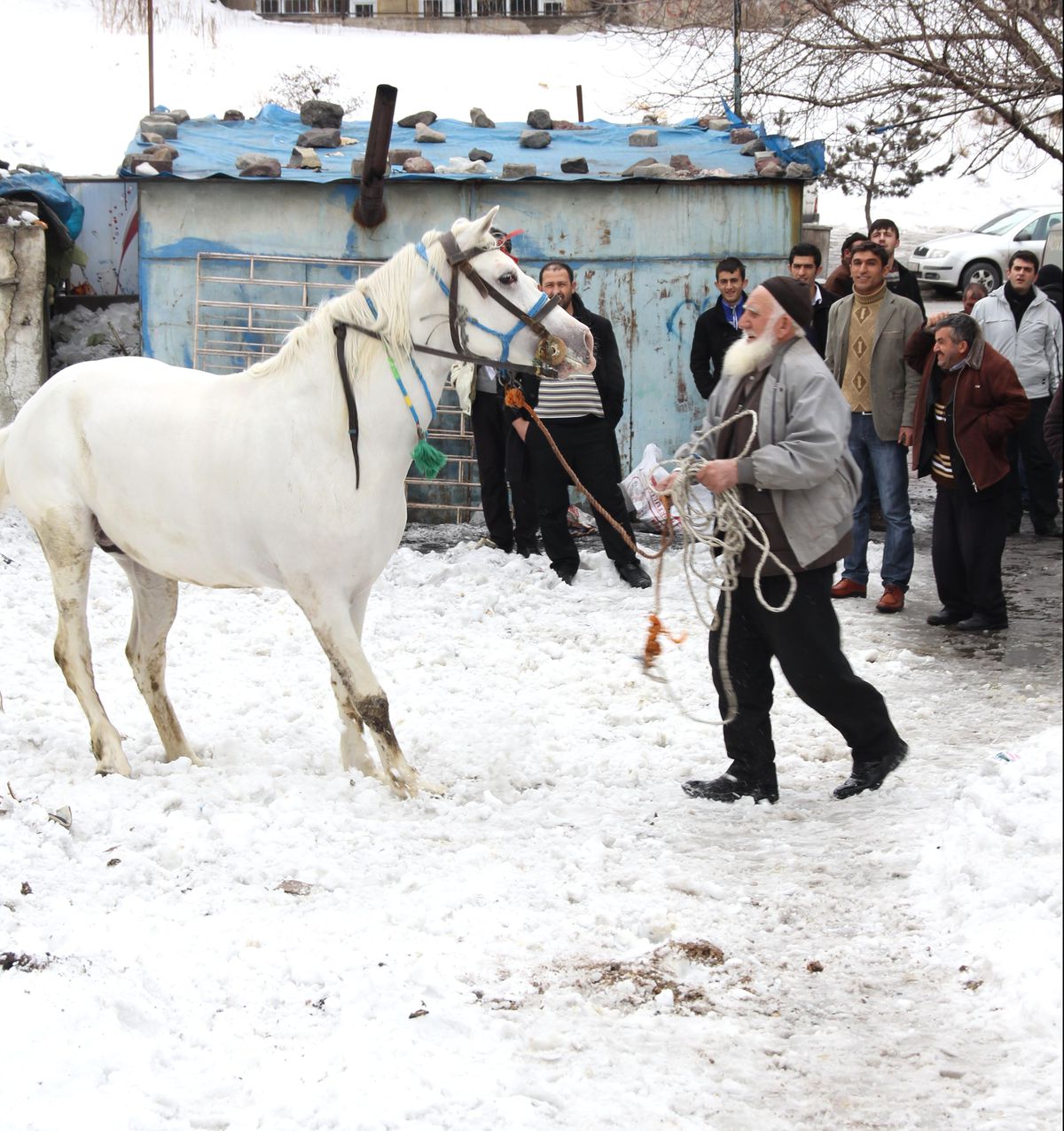 Erzurum\'da \'Bulut\' Şahlandı