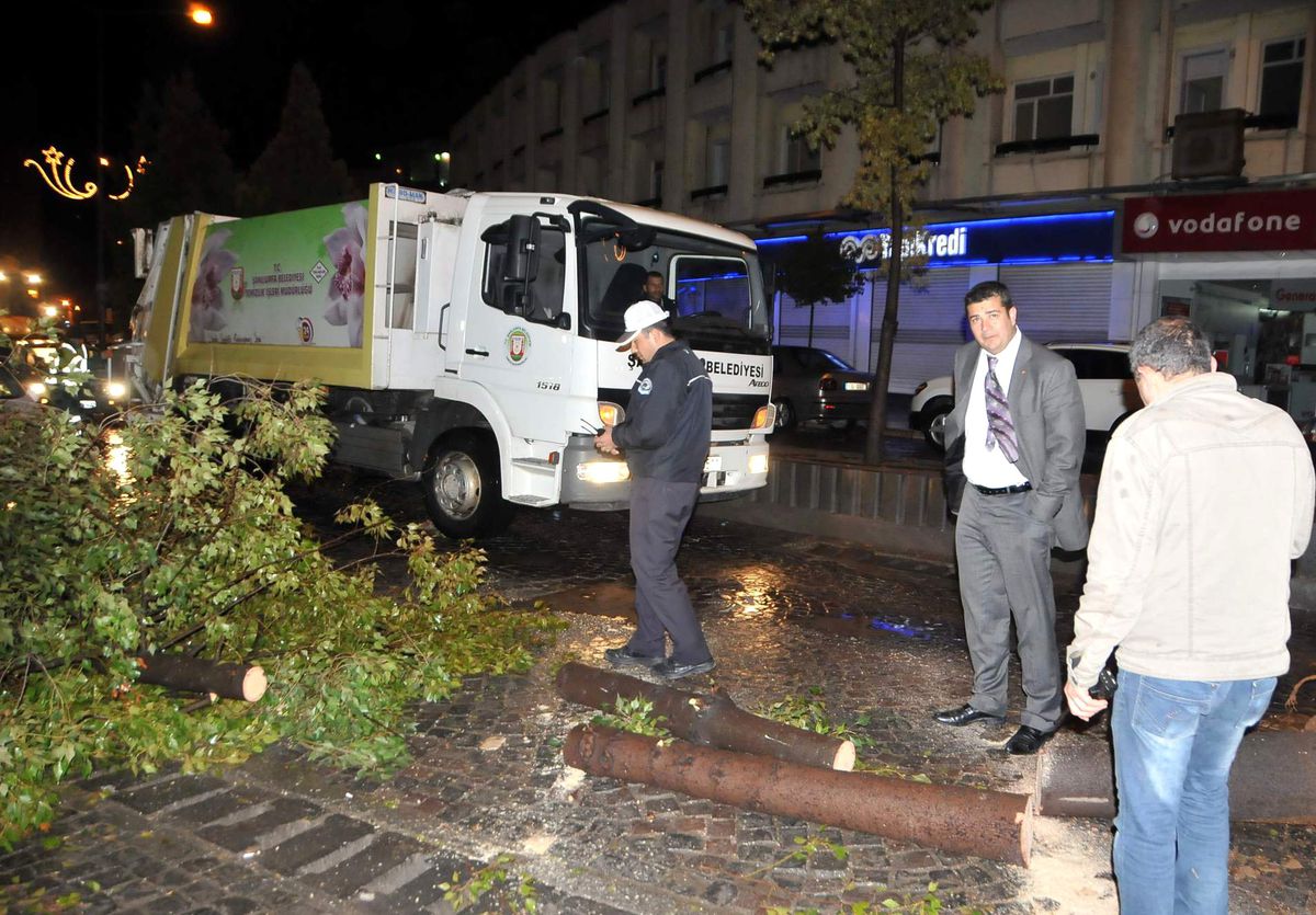 Fırtına Ağaçları Yerinden Söktü