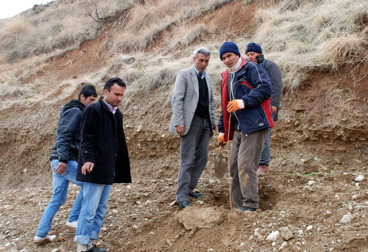 Kahta Belediyesi Ağaç Dikmeye Başladı