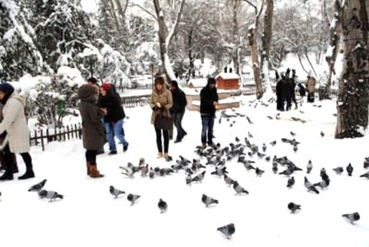 Mersin\'de Kar Sevinci