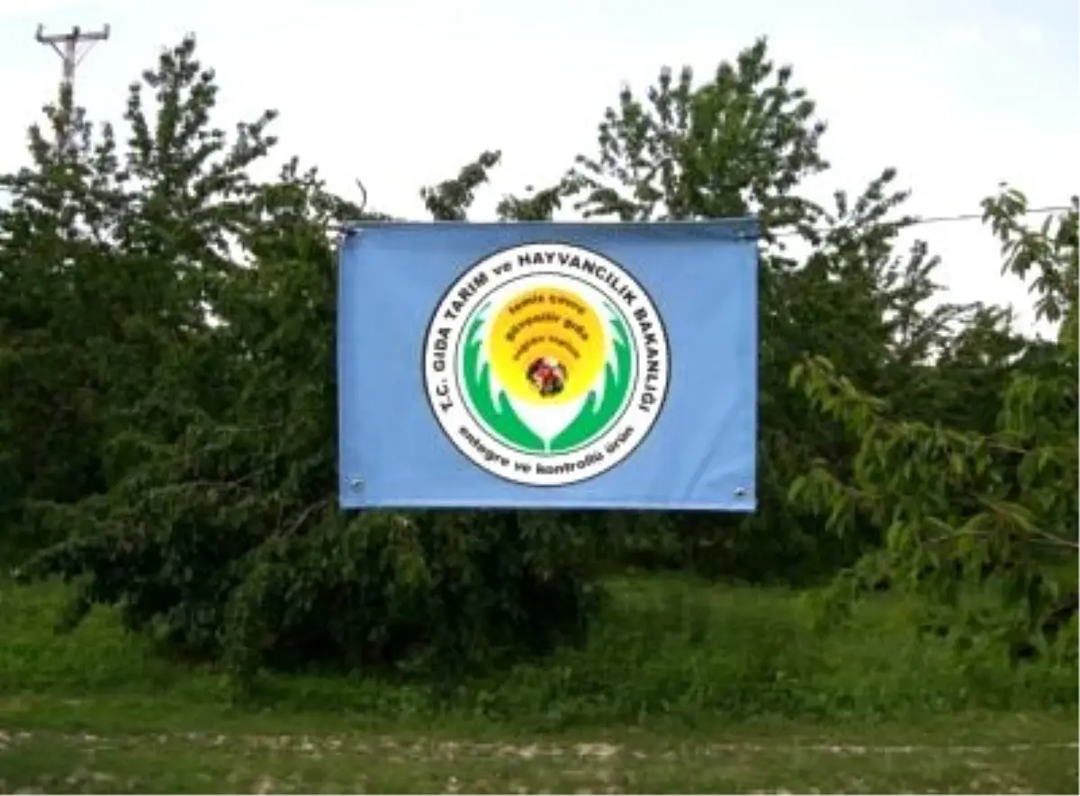 "Mavi Bayrak Projesi"Ne BM Desteği