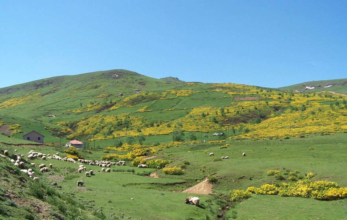 Meralar \'Islah\' Bekliyor