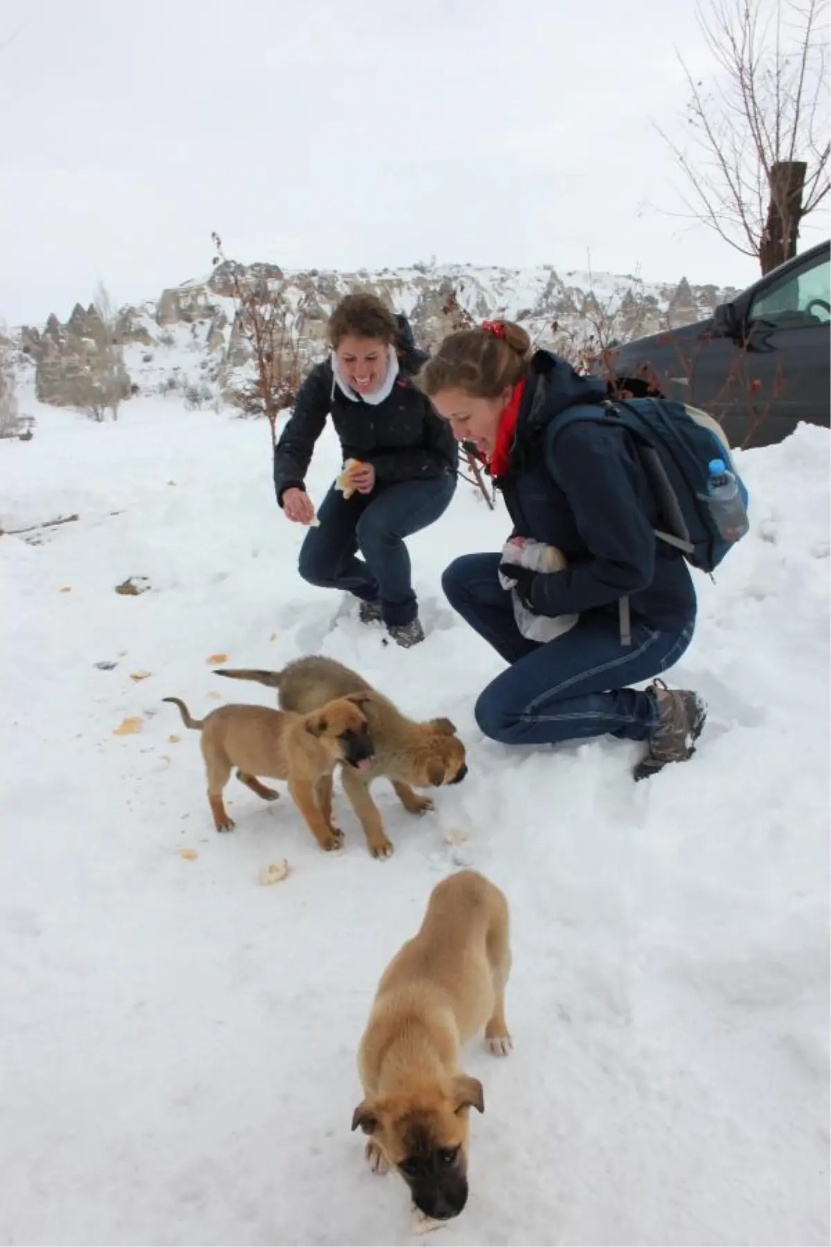 Avustralyalı İkizlerin Köpek Sevgisi