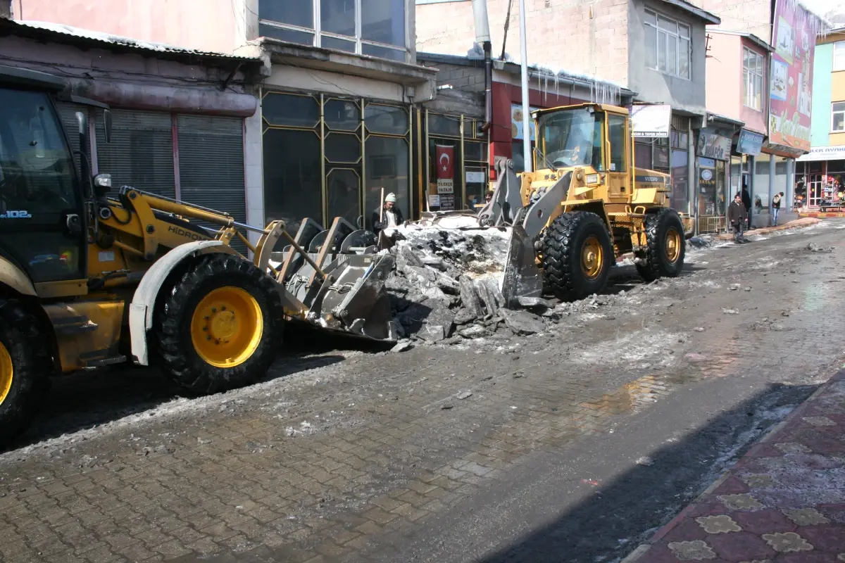 Pasinler\'de Karla Mücadele Çalışması