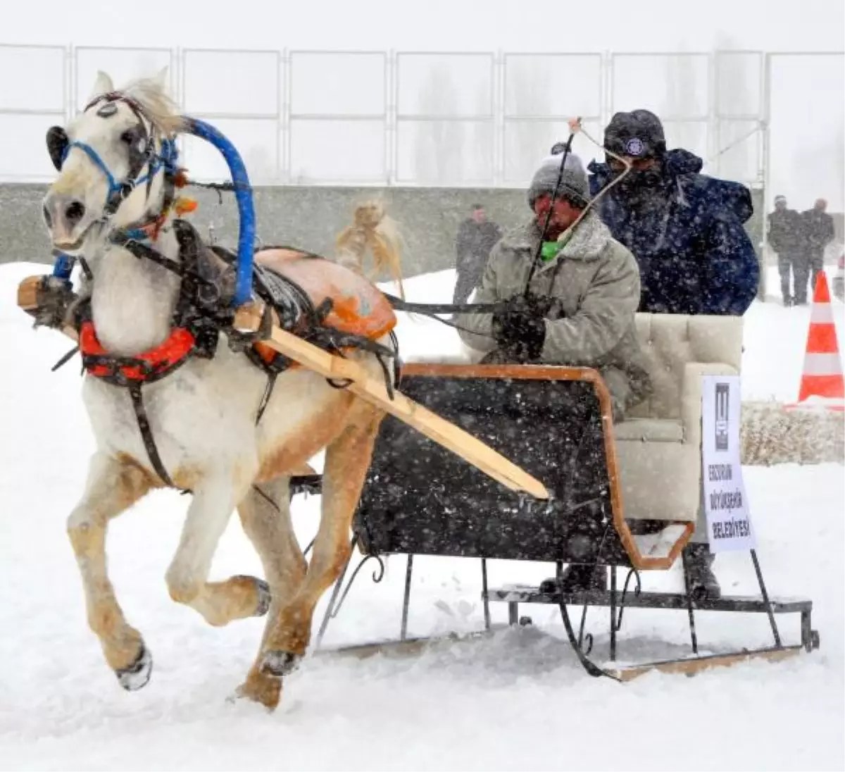 Tipide Festival Coşkusu
