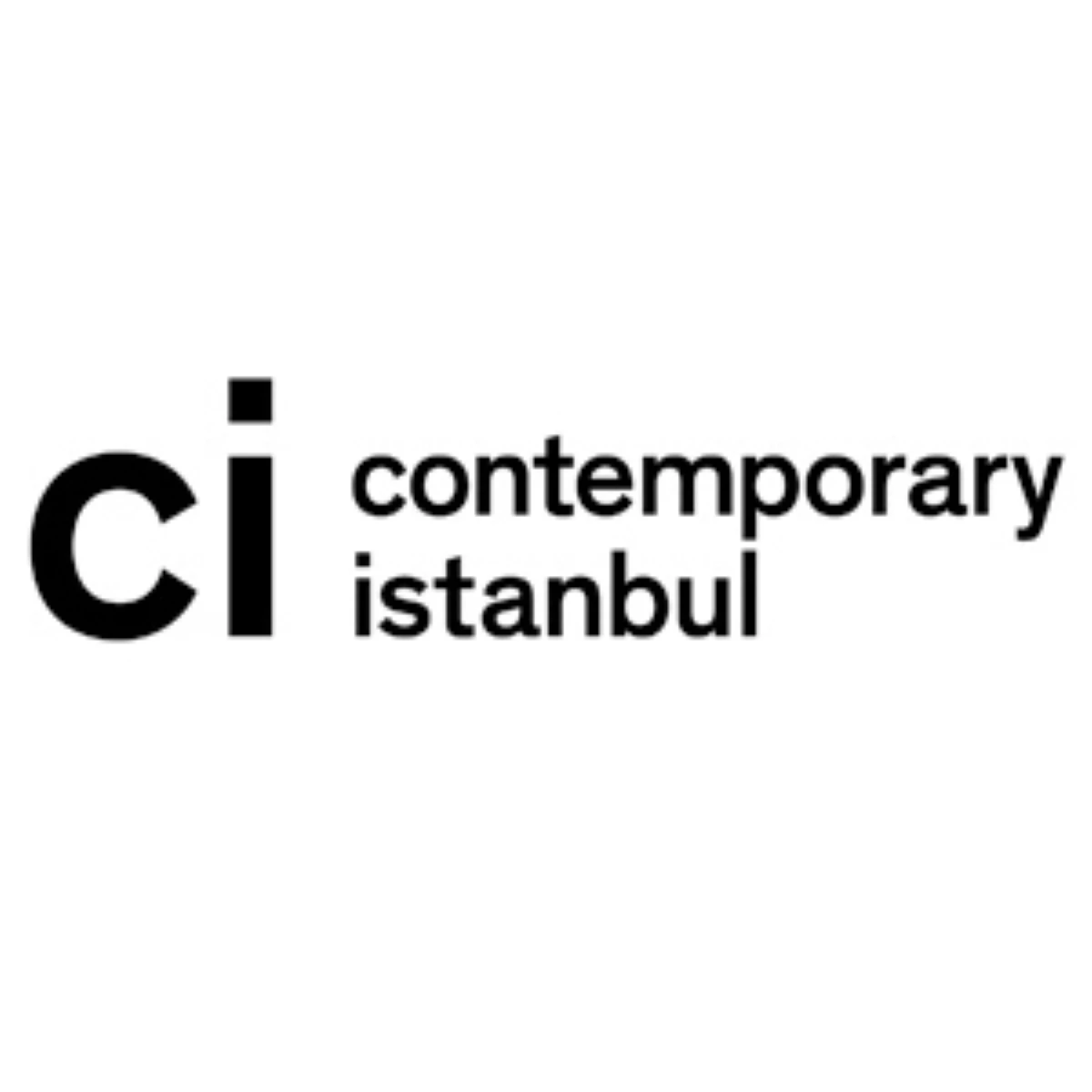 Contemporary İstanbul 2012 Çalışmaları