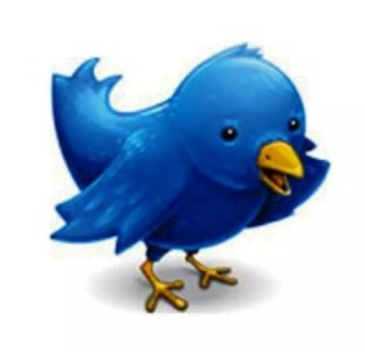 Karşınızda Sosyal Medyanın 10 Türk Starı