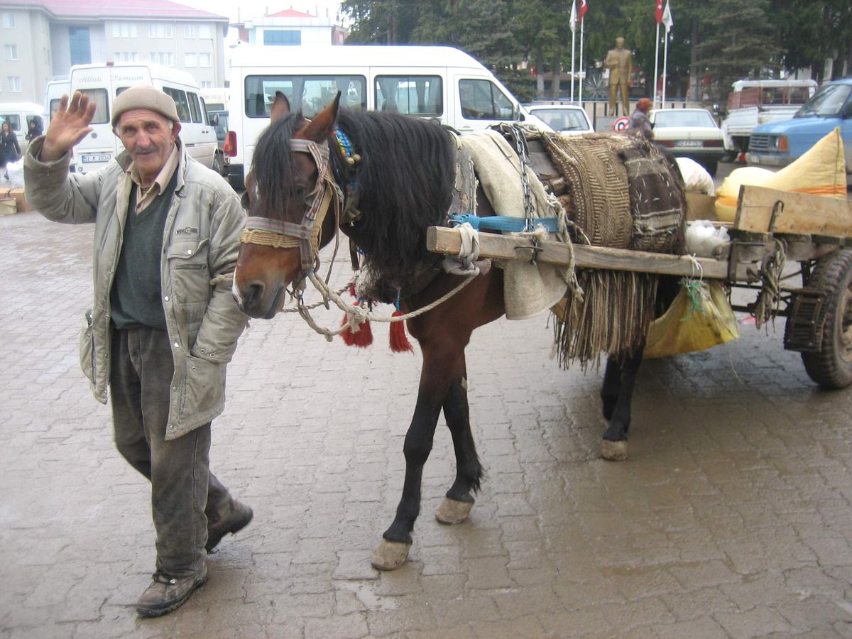 Ulubey\'in Tek Atlısı