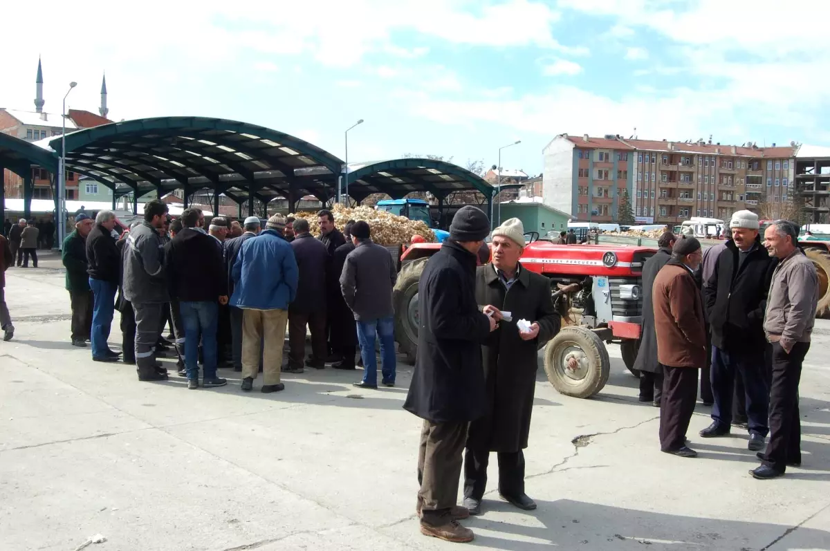 Üretici Sarımsak Fiyatlarından Şikayetçi