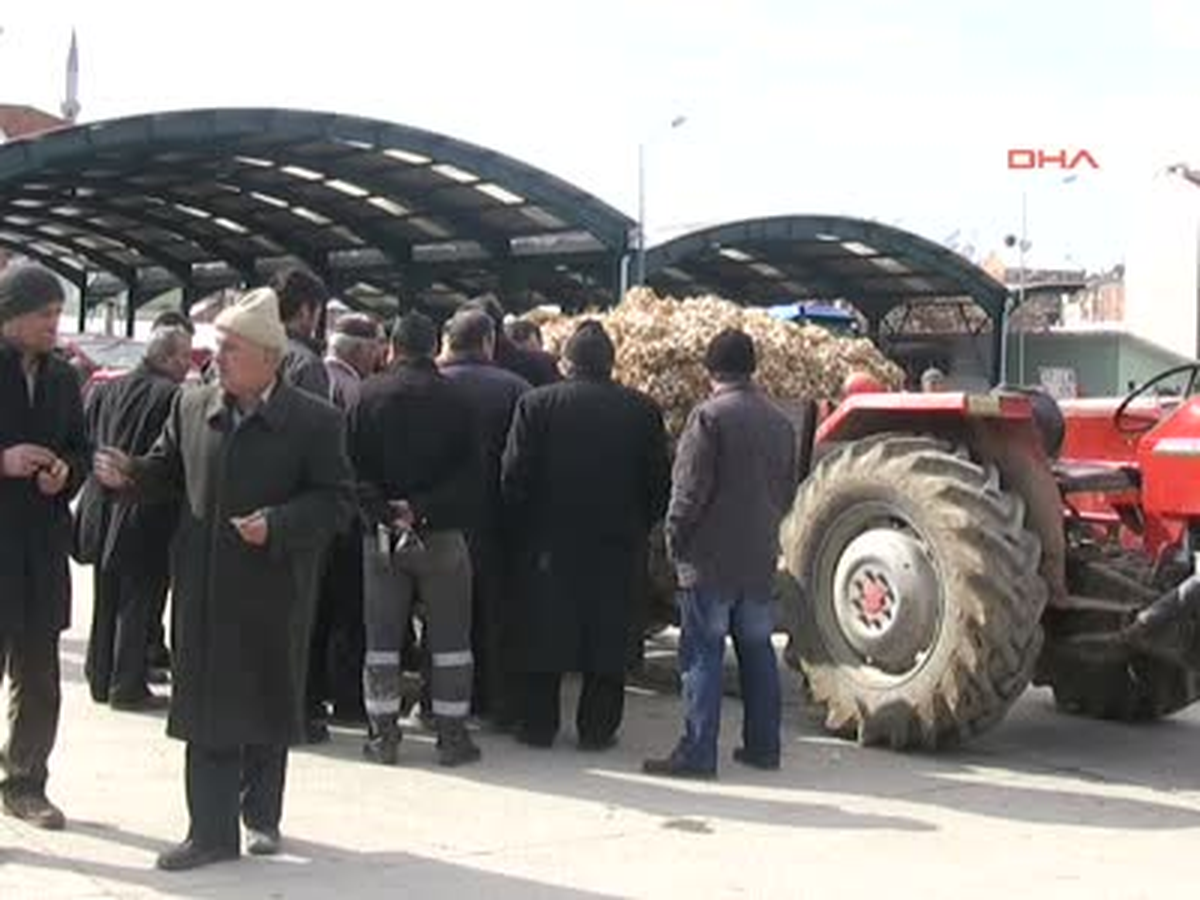 Yoğun Kar Sarımsak Ekimini Geciktirdi