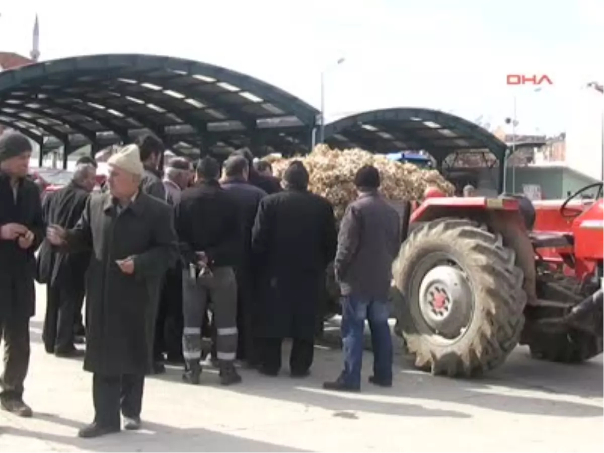 Sarımsak Üreticisi, Piyasaya Sürülen Çin Malı Nedeniyle Sıkıntılı