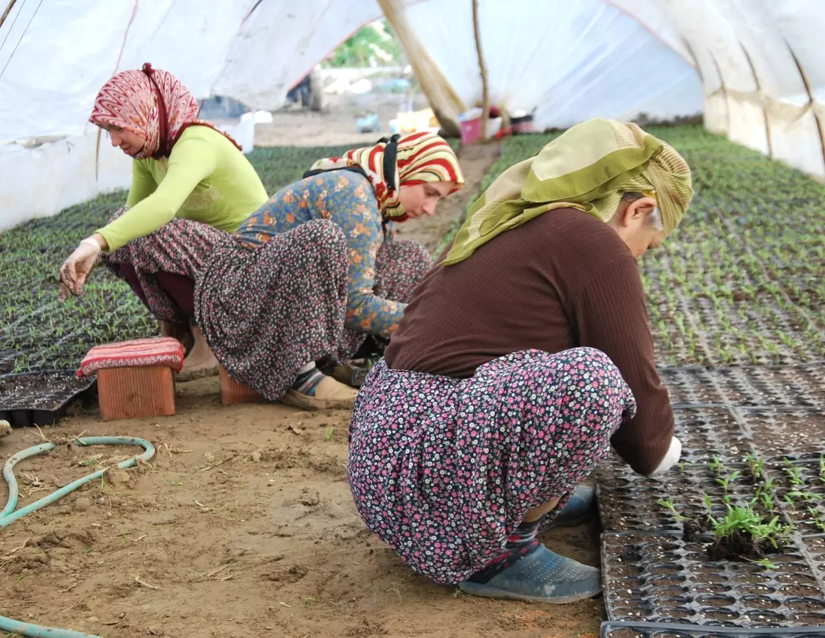 Aydınlı Kadınlar Günlerini Çalışarak Kutladı