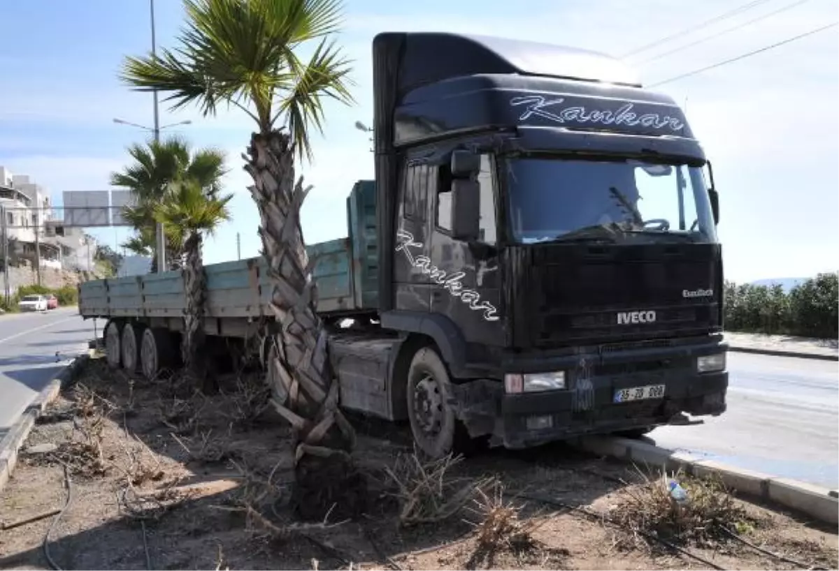 Freni Boşalan Tır Refüje Çıkarak Durabildi