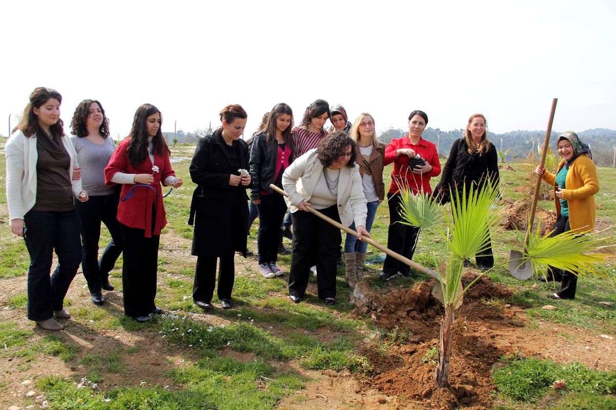 İsabeyli'de Her Üniversitelinin Bir Ağacı Olacak