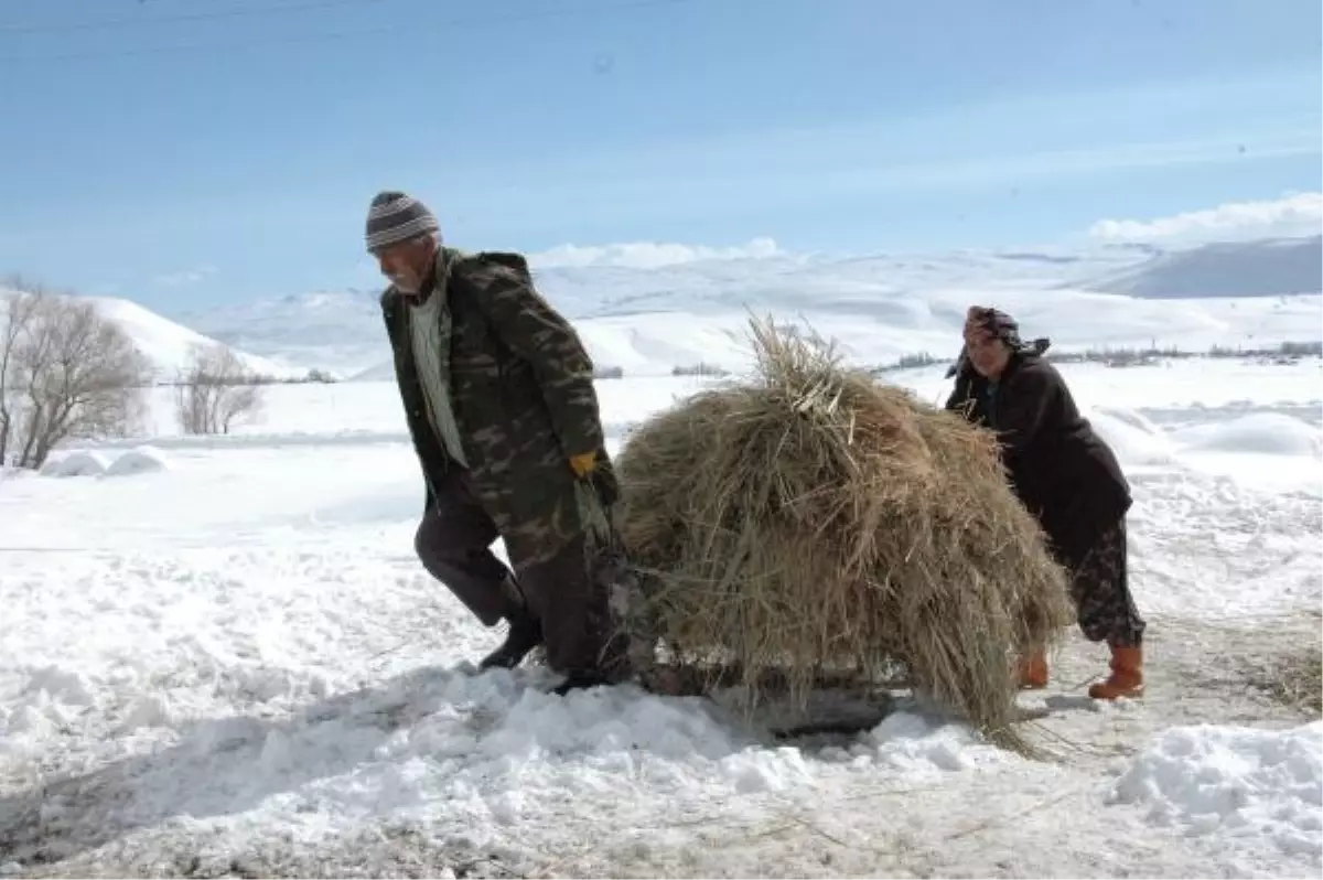 "Kadınlar Günü mü O da Ne?"