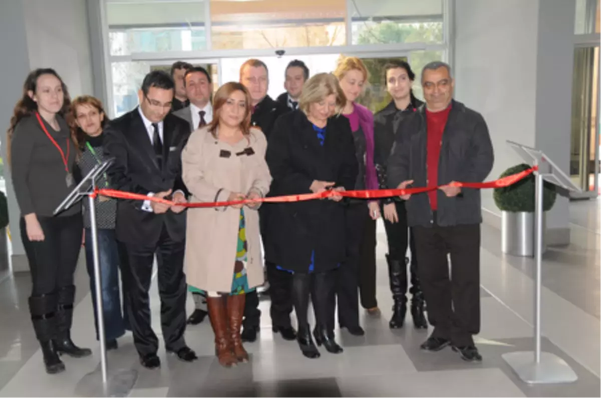 Karikatürcü Gözüyle Kadına Şiddet