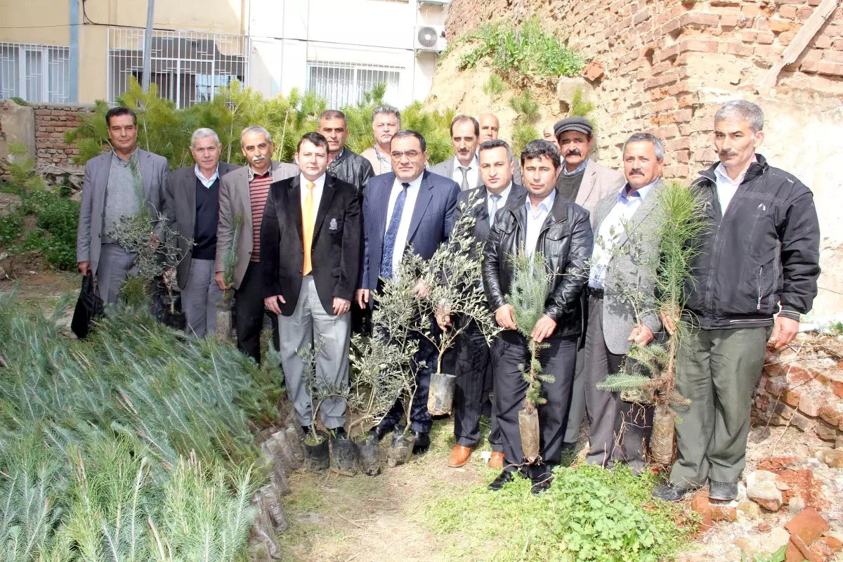 Nazilli'nin 40 Köyüne 16 Bin Fidan Dağıtıldı