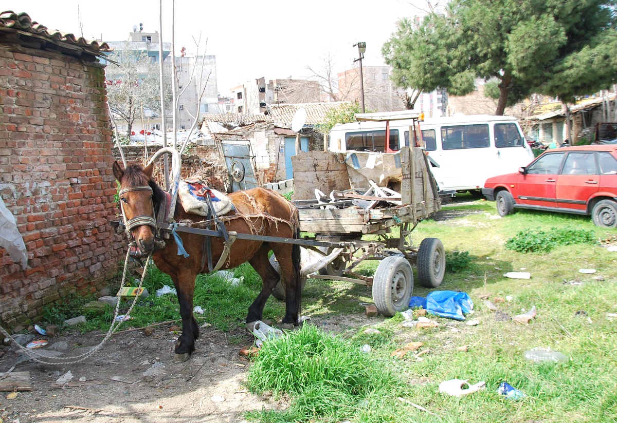 Sahipleri Gözaltına Alınca At Otoparka Çekildi