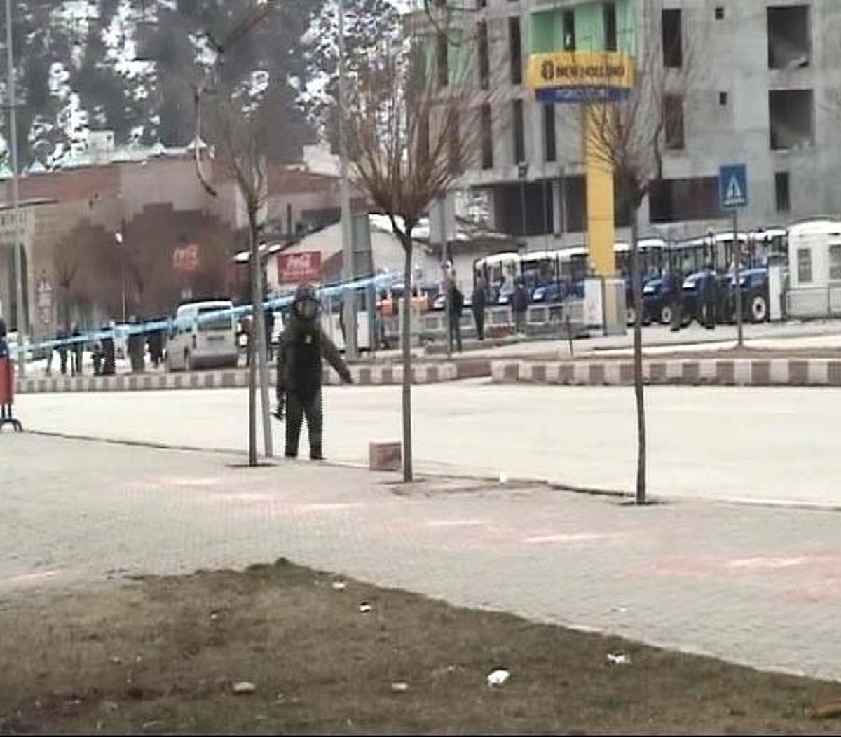 Sahipsiz Koliden Makarna Çıktı