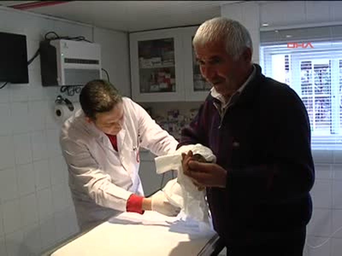 Gri balıkçılı Alanyalılar kurtardı