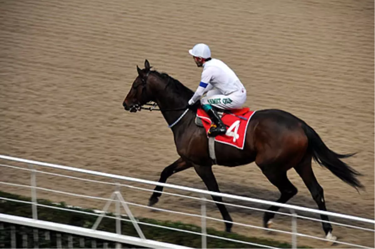 Başkanlık Kupası\'nı Aydemirhan Kazandı