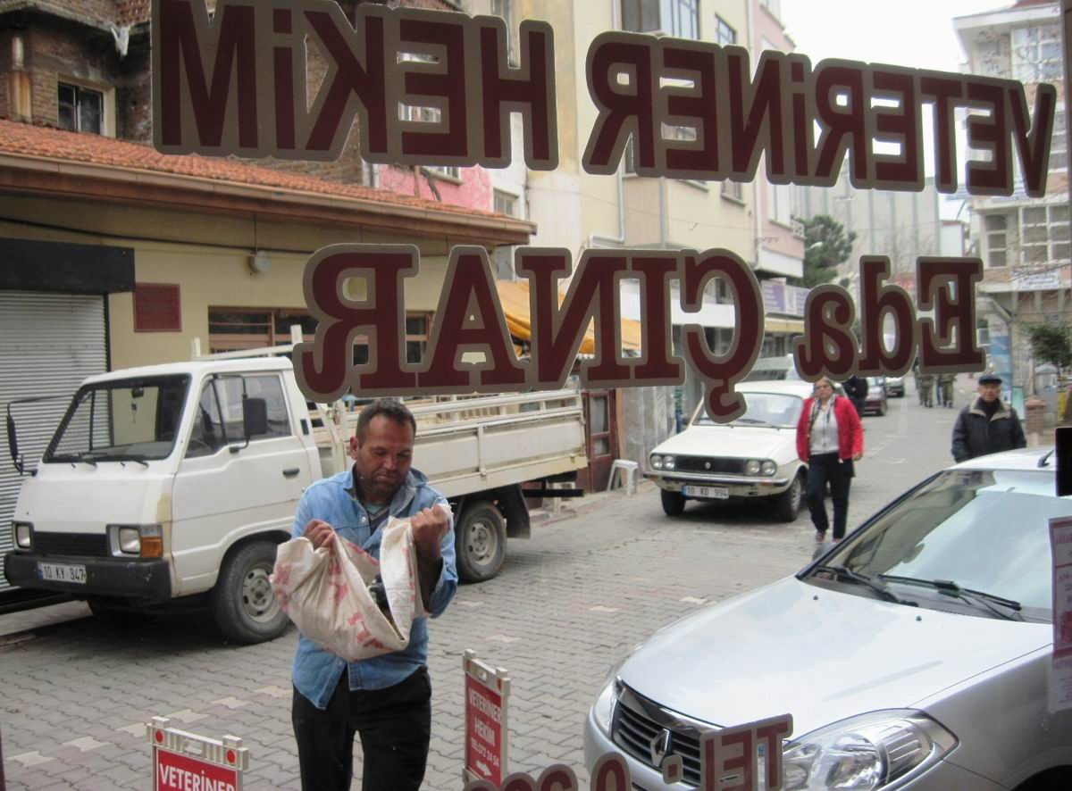 Edremit\'te Barsakları Dışarıda Doğan Kuzuya Cerrahi Müdahale