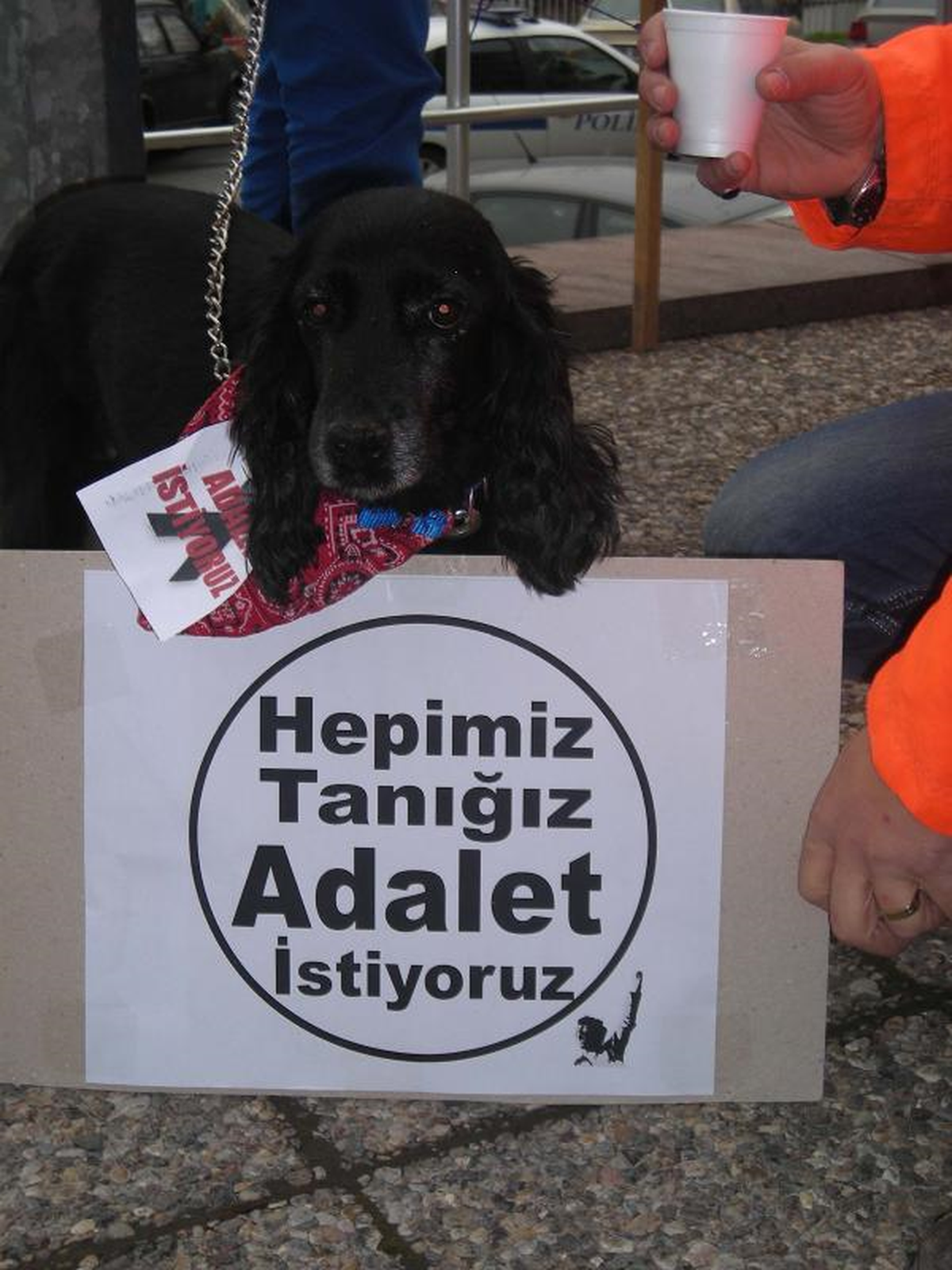 Hayvanseverler, 'Yamuk' İçin Yine Adliyede