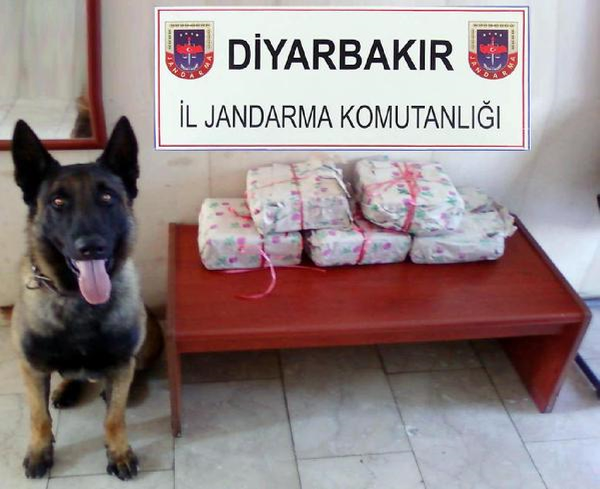 Hediye Paketi İçinde Esrar Sevkıyatı