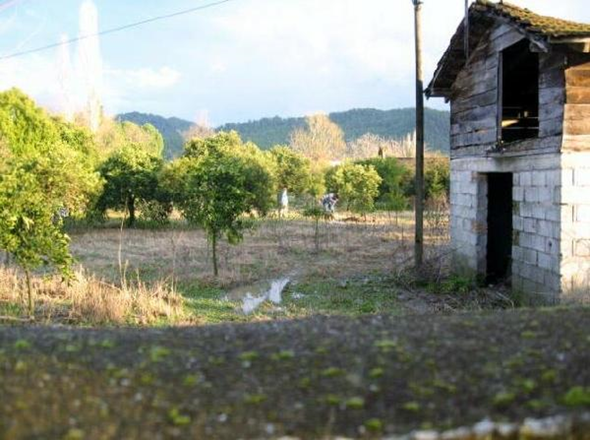 Köpeği Öldürüp Gömen Köylü İçin Suç Duyurusu