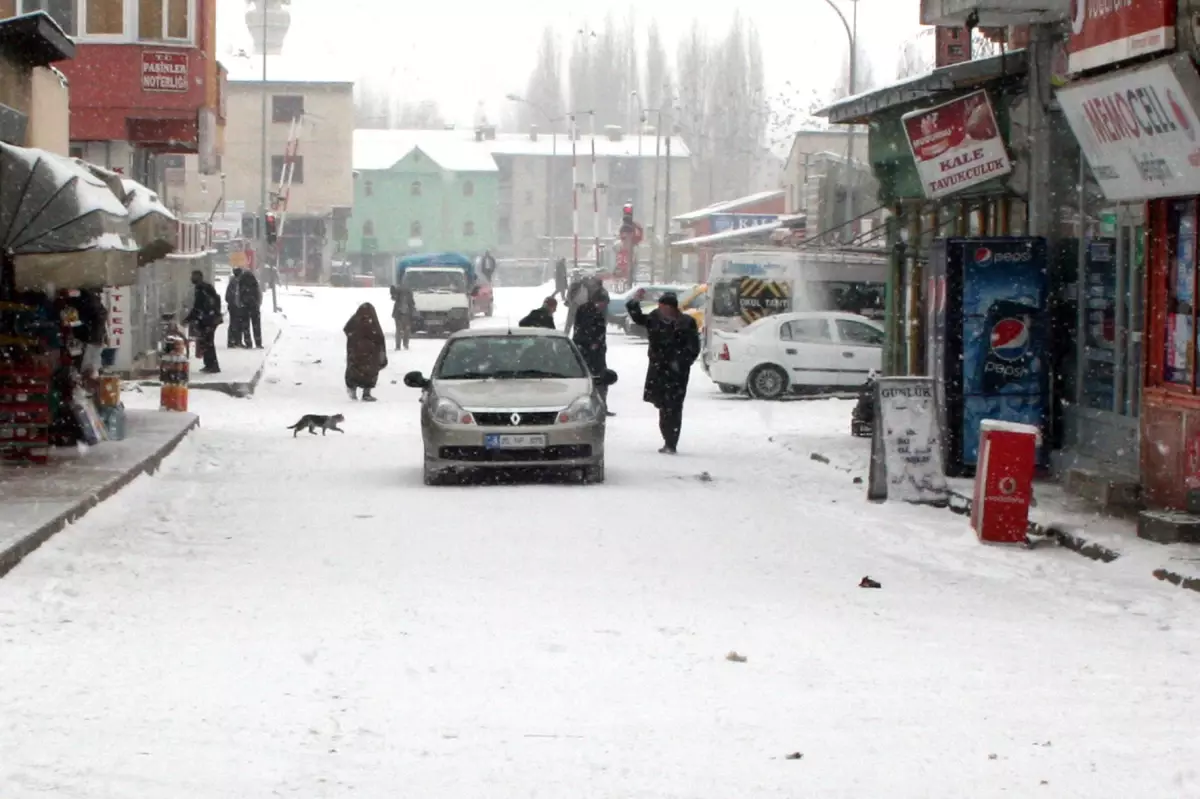 Pasinler\'de Kar Esareti