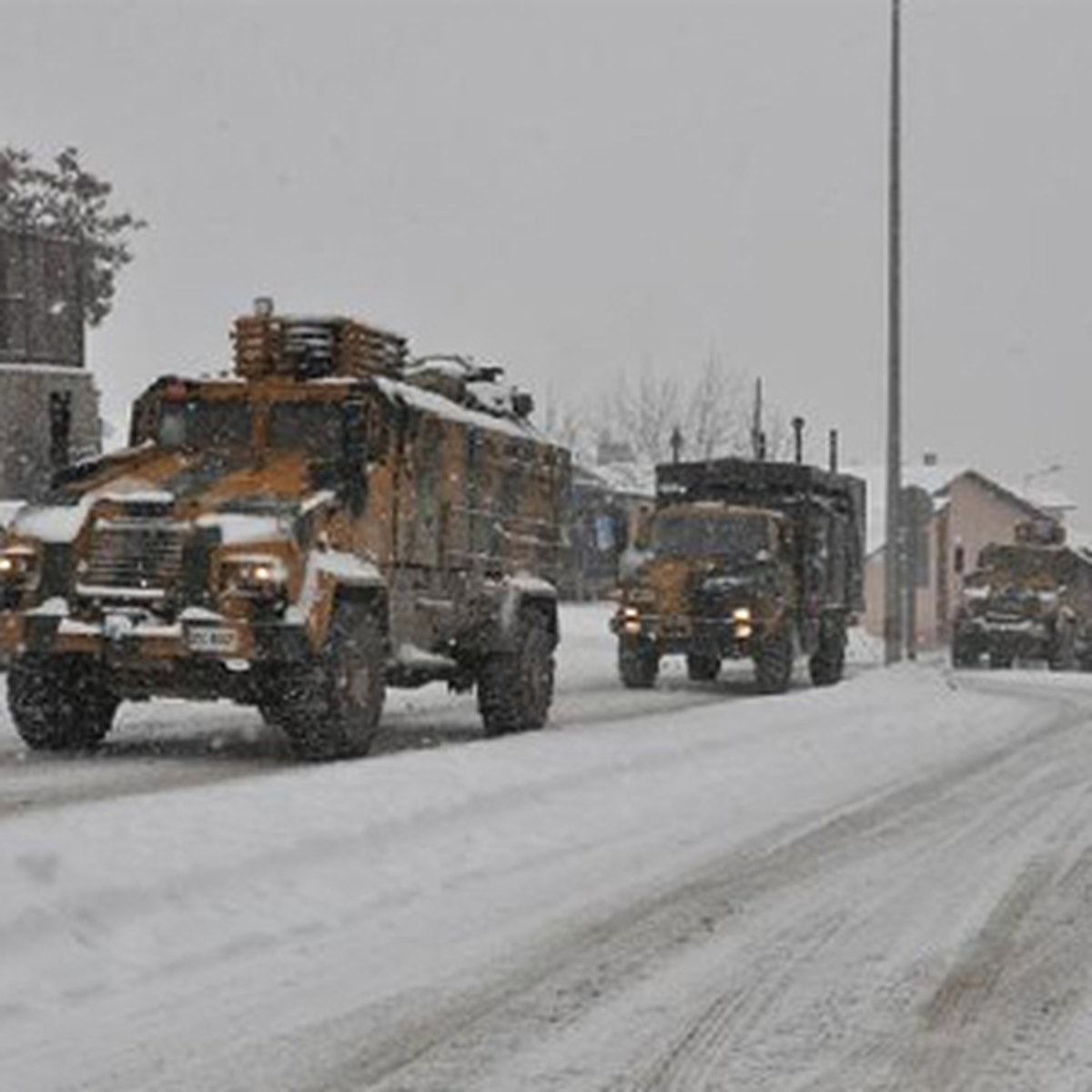 Sınıra Kirpi Sevkiyatı