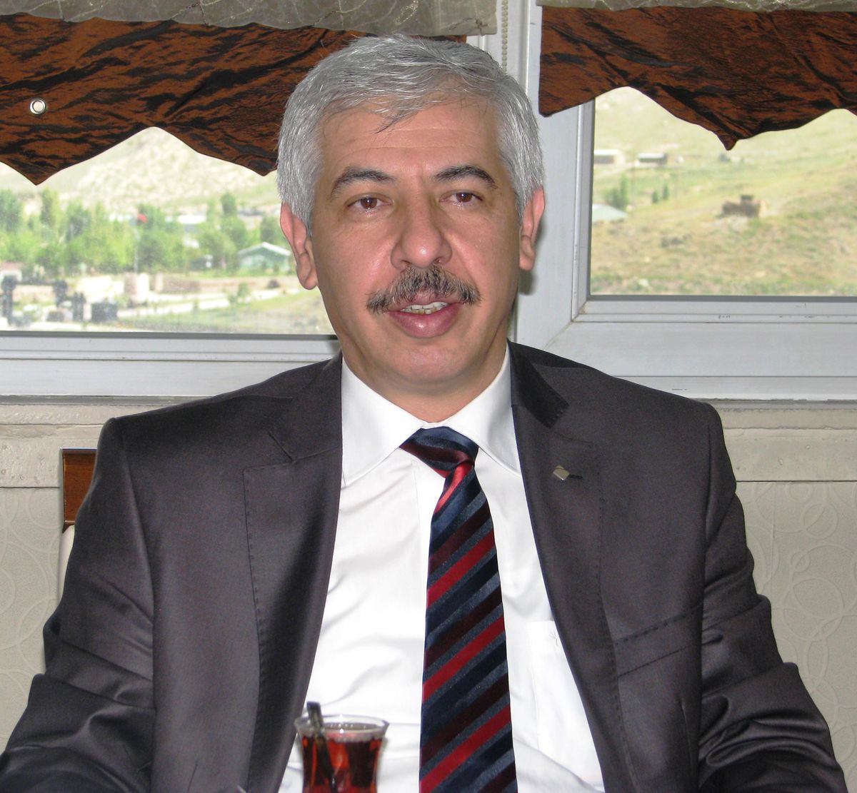 Van\'da Sağlık Hizmetleri