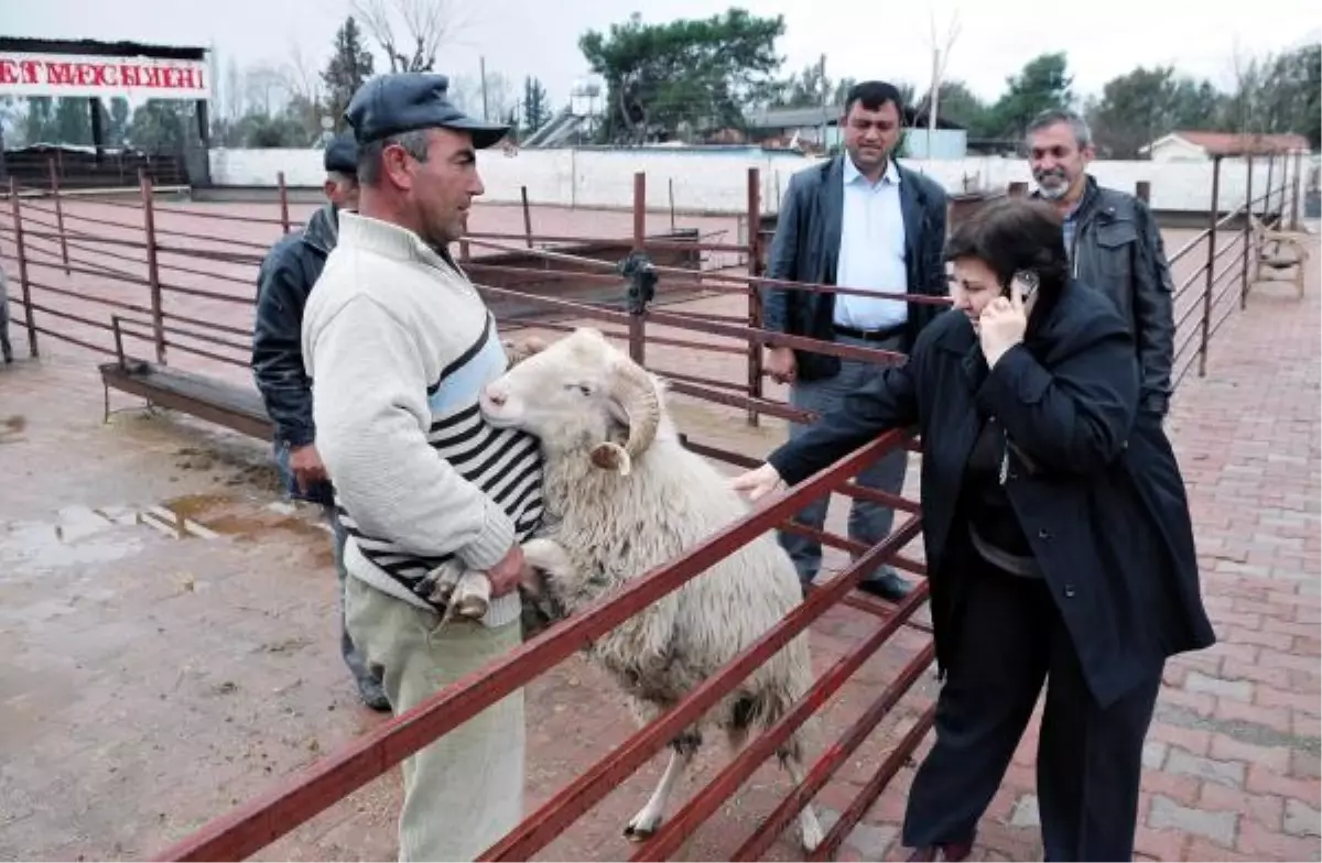 Anne Şık, Adağını Yerine Getirdi