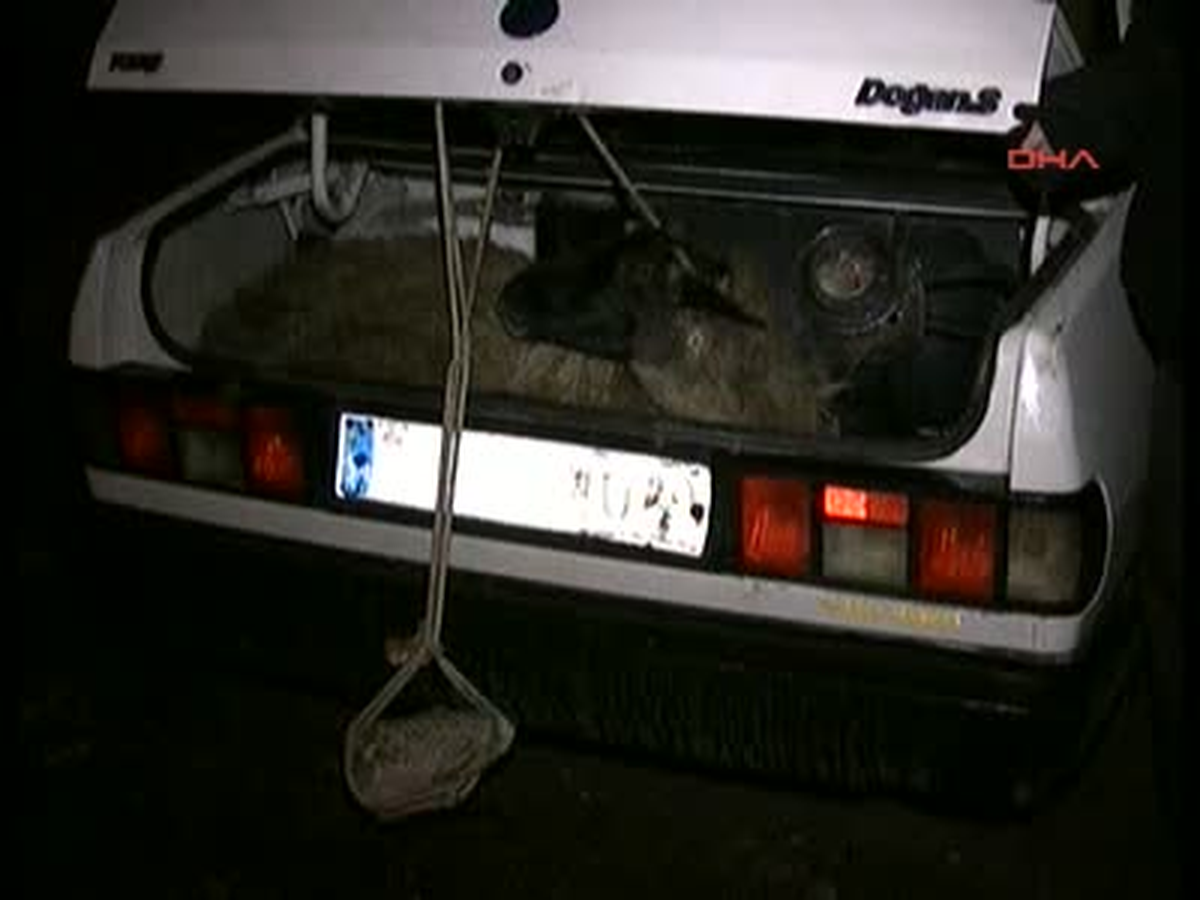 Çalıntı Otomobille 8 Koyun Çaldılar