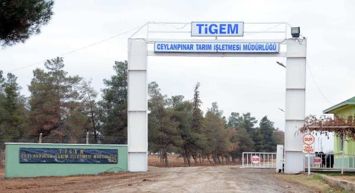 Suriyeliler İçin Ceylanpınar\'a 20 Bin Kişilik Kamp Kuruluyor