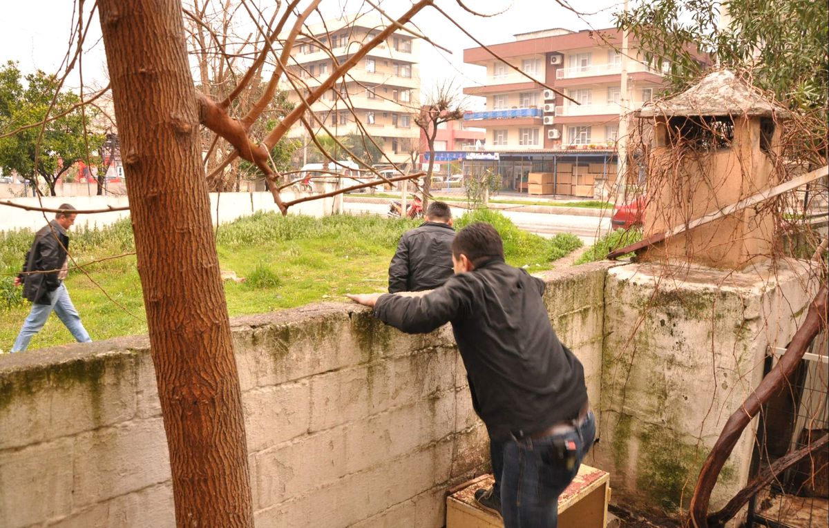 Yavuz Hırsız Ev Sahibini Bastırdı