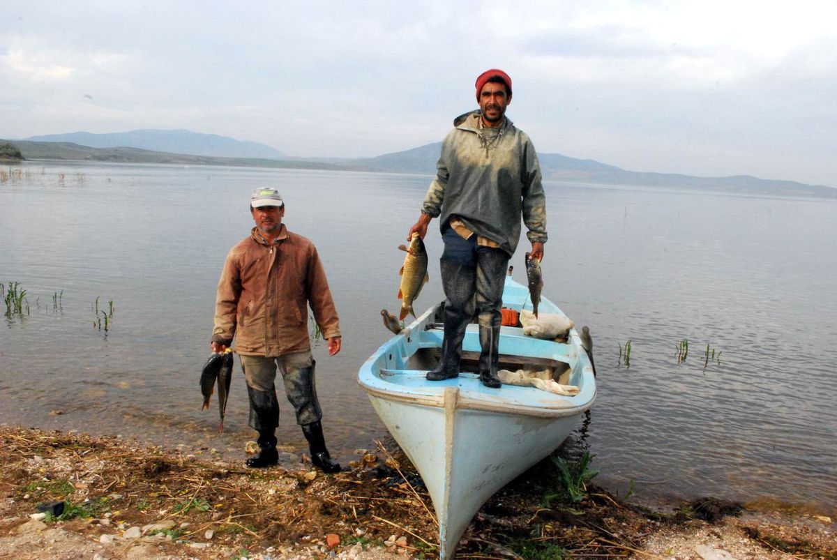 90 Bin Kilo Sazan İhaleye Çıkıyor