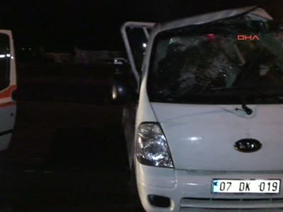 Kamyonet Aydınlatma Direğine Çarptı: 3 Yaralı