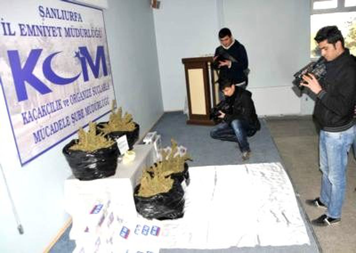 Şanlıurfa\'da 10 Kilo 500 Gram Esrar Ele Geçirildi
