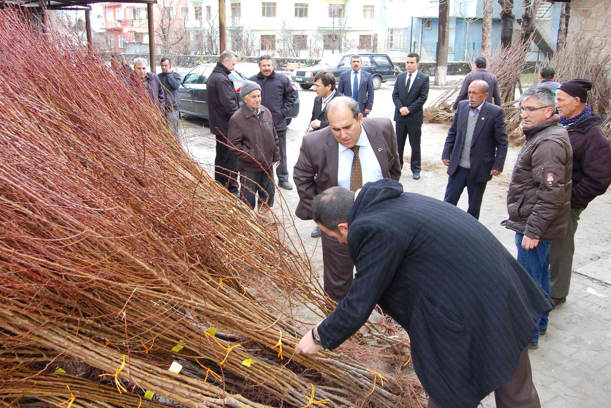 \'Üretici Dostu Kaymakam\'dan Simavlı Çiftçiye Sertifikalı Fidan Desteği