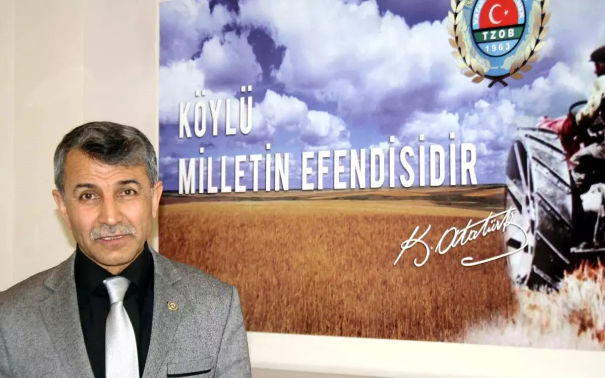 Buğday Destek ve Yem Bitkilerinin Primleri Ödenmeye Başlandı