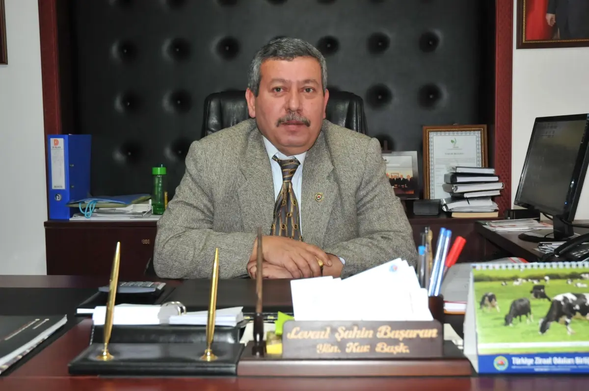 Fındıkta Rekolte Beklenenin Altında