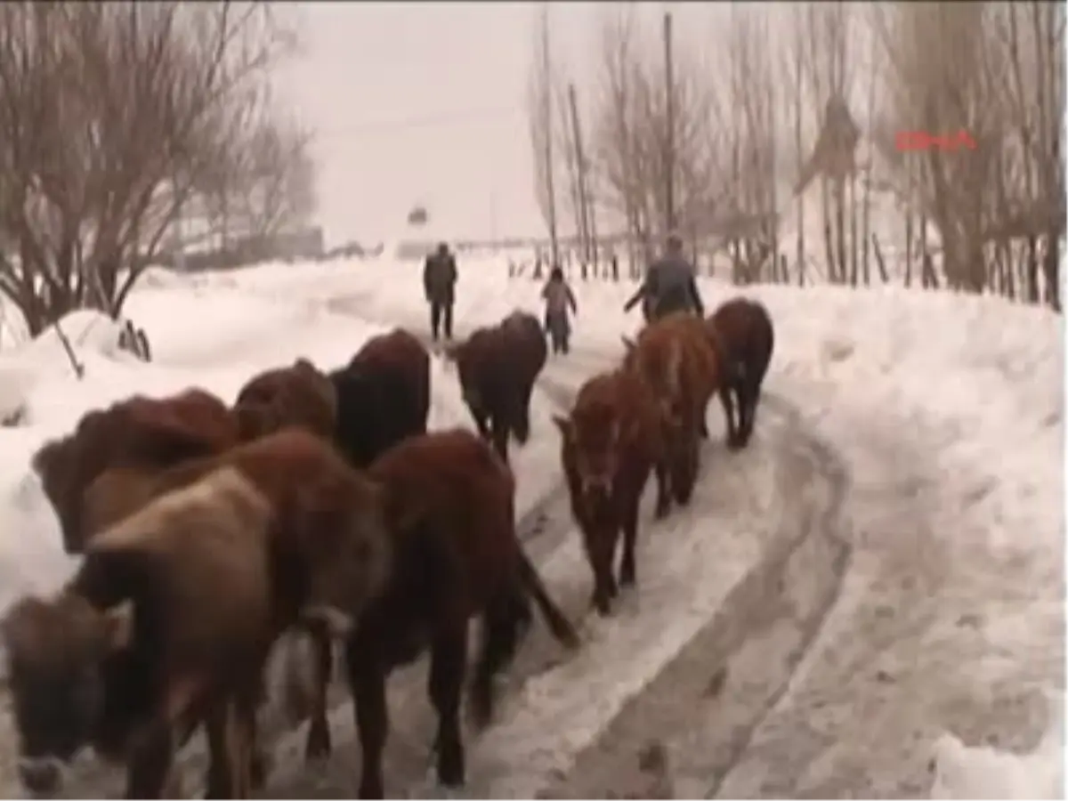 Güneş Duasına Çıktılar