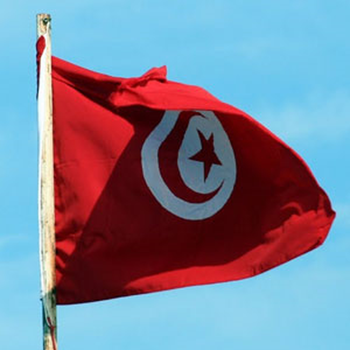 Tunus İçişleri Bakanı Arayiz Açıklaması