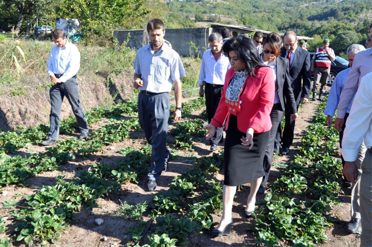 Vali Civelek Vatandaşın "Devlet Ana"Sı