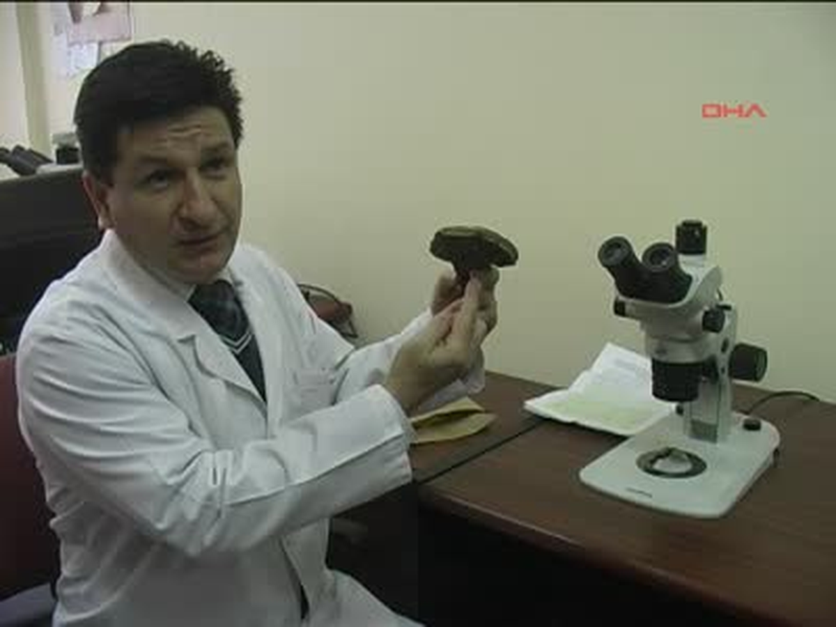Mucize Mantar Zonguldak\'ta Yetiştirilecek