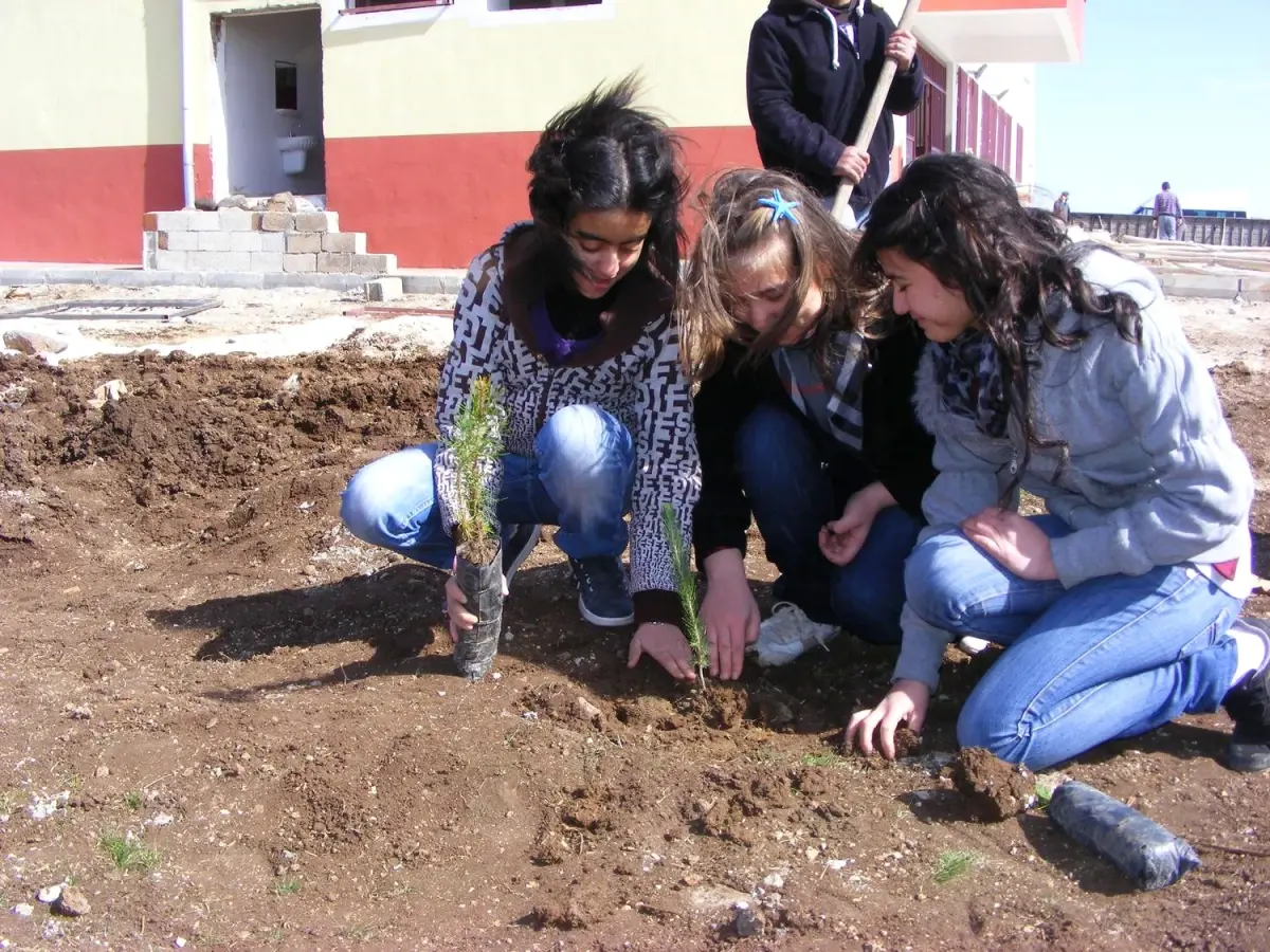 Öğrenciler Okul Bahçesine Fidan Dikti